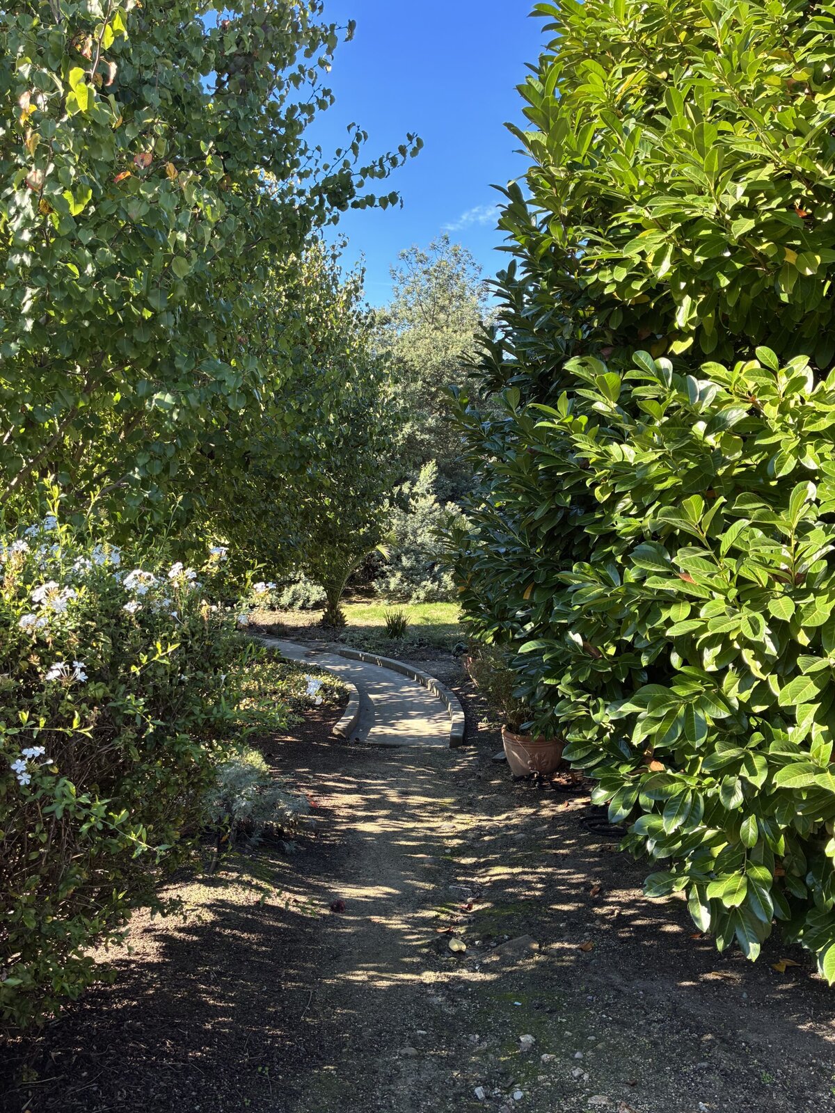 A narrow dirt path curves through a lush garden with green trees and bushes on both sides under a bright blue sky. Sunlight filters through the leaves, creating patches of light and shadow on the ground.