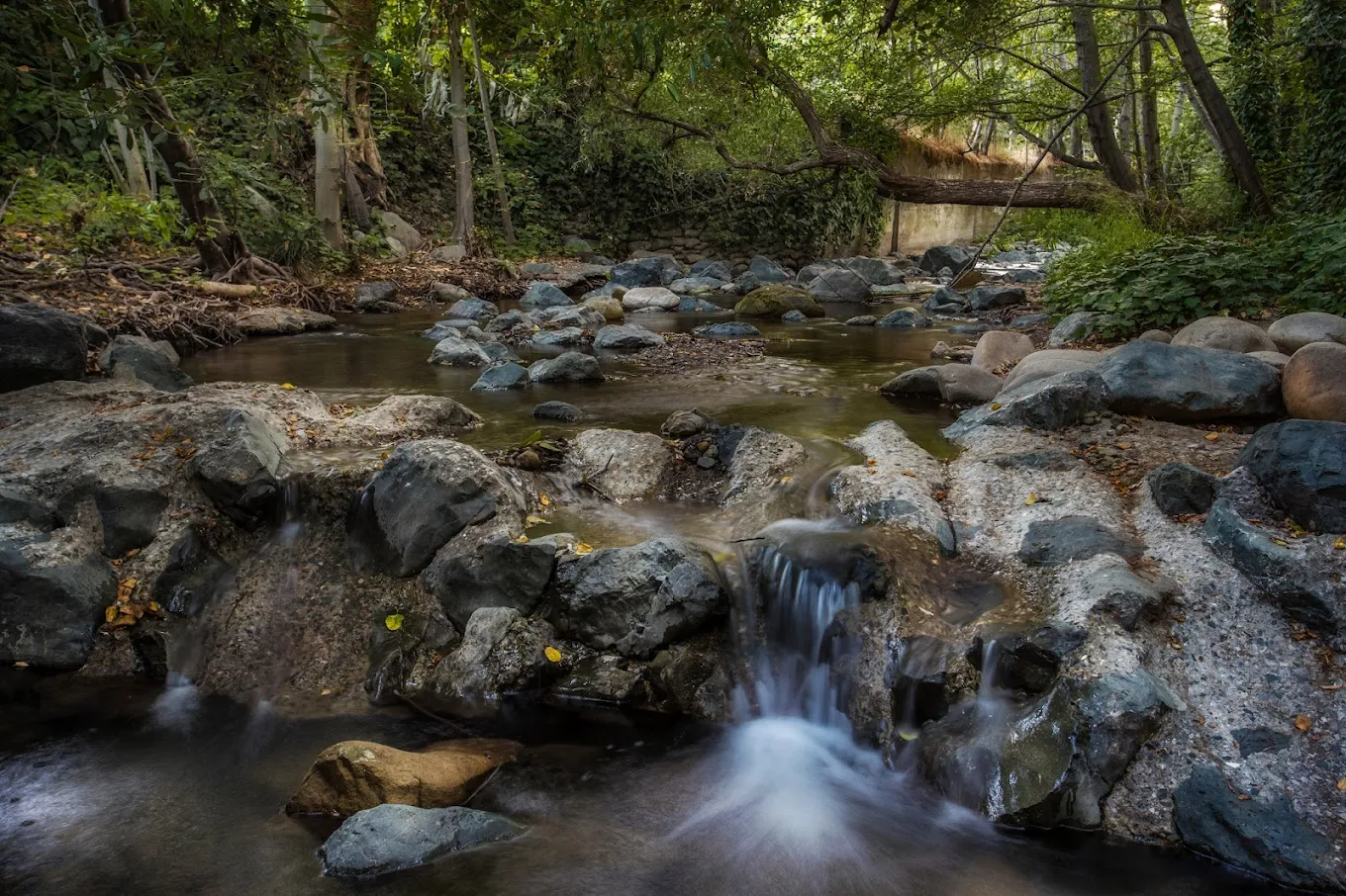 A tranquil creek flows over rocks through a lush, wooded area with dense green trees and a small waterfall. Sunlight filters through the branches, and a wooden footbridge crosses the creek in the background.